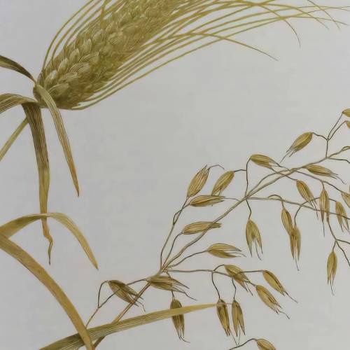 John Seymour’s Books on Self-Sufficiency